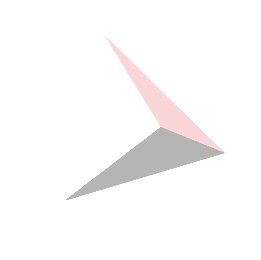 ProtoLayer Logo